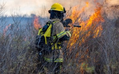 El Gobierno aprueba una nueva protección laboral por los incendios forestales