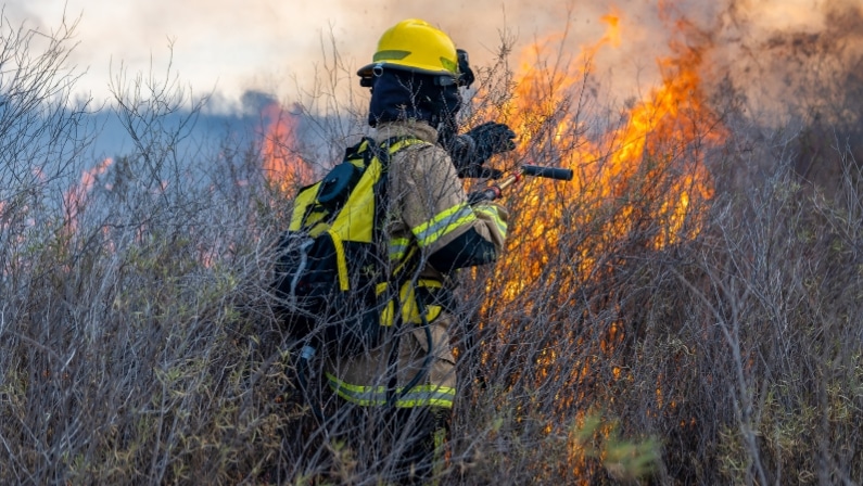 El Gobierno aprueba una nueva protección laboral por los incendios forestales